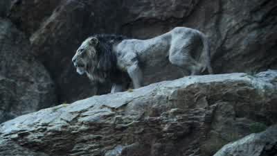 Mufasa and Simba are gonewhich means I am your king - The Lion King