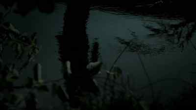 (MUFFLED CRIES) - Wallander