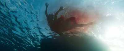 [muffled crying] - Shark Bait