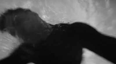 (muffled grunt) - Shark Attack Files