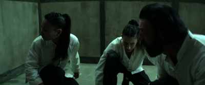 (MUFFLED GRUNTING, CLAMORING)
(DISTANT BANGING) - Kung Fu Games