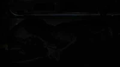 [muffled shout] - Sneaky Pete