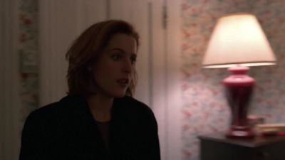 Mulder, get the EIVITs up here! - The X-Files