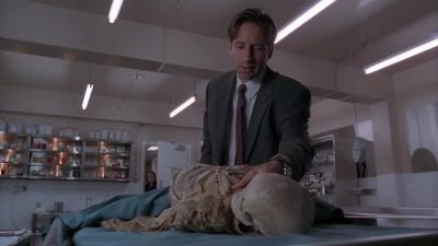 Mulder? - The X-Files