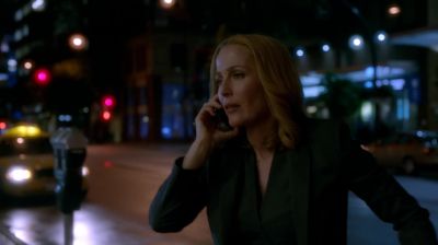 Mulder,
what are you talking about? - The X-Files