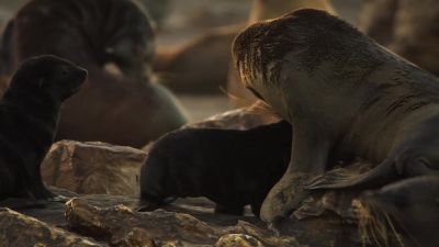 Mum is back. - Earth at Night in Color
