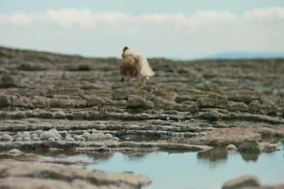 Mum brought me here,
day before my Solstice. - Britannia