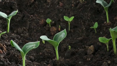 Mum can only hope
they've learned their lesson. - A Year on Planet Earth