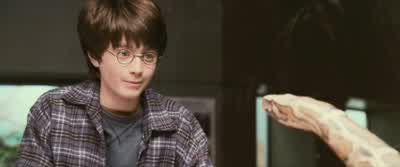 Mummy, Dad, come here! - Harry Potter and the Philosopher's Stone