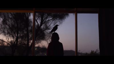 Mum's not the person she once was - Penguin Bloom