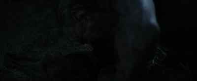 (Munching) - Wolf Man