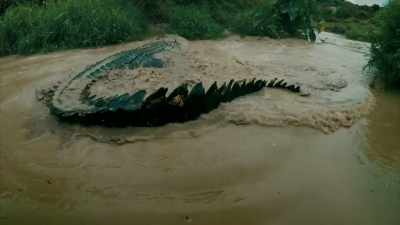 Mungo: RAMBLI SAYS CROCODILES - Expedition Mungo
