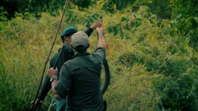 Mungo: THIS JAVA WART SNAKE
IS A DELICACY - Expedition Mungo