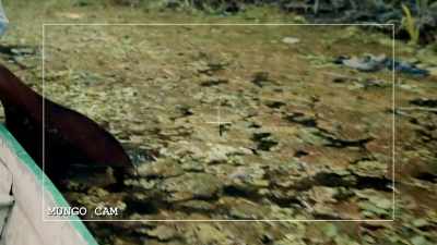 Mungo: THIS REALLY IS PERFECT
ANACONDA TERRITORY. - Expedition Mungo