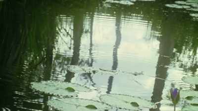 Mungulgarry, in Gulparil. - My Name Is Gulpilil