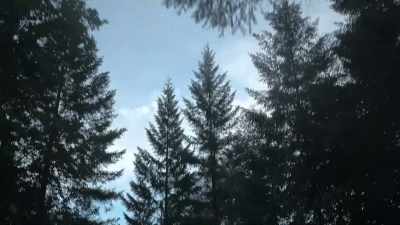 Murder Mountain, as long as
I've been with the sheriff's office, - Murder Mountain