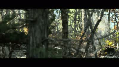 Murphy: We are good right. - Lone Survivor