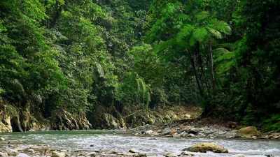 Murray: Thanks, Diane.
More wet days ahead - When Nature Calls with Helen Mirren