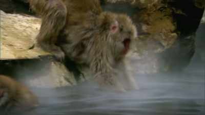 Murray: Thanks, Diane.
More wet days ahead - When Nature Calls with Helen Mirren