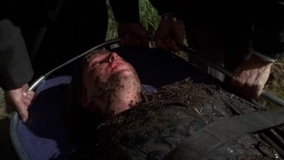 - Mushroom...
- We found it. - The X-Files
