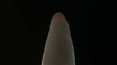 Mushrooms this gigantic
make you wonder just how big - Cosmos: Possible Worlds