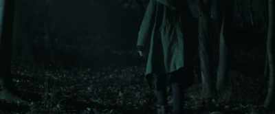 ♪ [music concludes] ♪ - Lord of Misrule