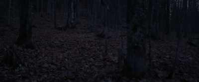 [music continues] - Pyewacket
