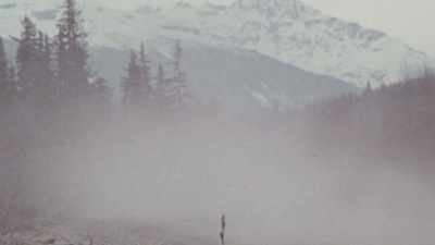 (music ends) - Trees and Other Entanglements