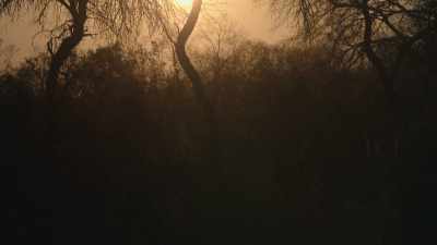 [MUSIC FADES OUT] - Unknown: Cave of Bones