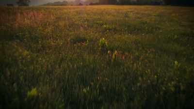 (MUSIC FADES) - Super/Natural