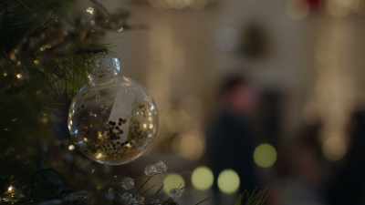 (music fades) - Magic in Mistletoe