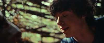(music fades) - The Animal Kingdom