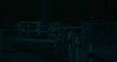 [music grows louder and ends] - Dead Places