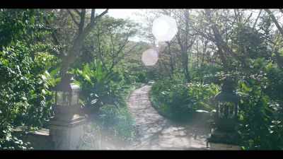 [Music playing on radio] - Leopard Skin