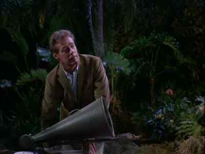 [MUSIC PLAYING] - Gilligan's Island