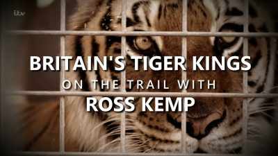 MUSIC PLAYING - Britain's Tiger Kings - On the Trail with Ross Kemp