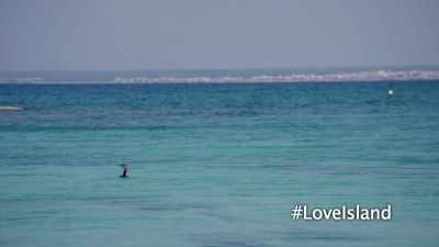 (MUSIC PLAYING) - Love Island