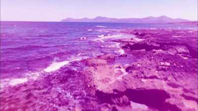 (MUSIC PLAYING) - Love Island