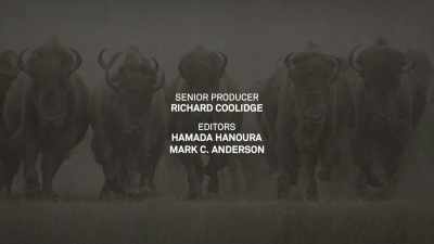 (music plays through credits) - The American Buffalo
