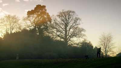 (music) - One Strange Rock