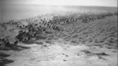 [music] - Jews of the Wild West