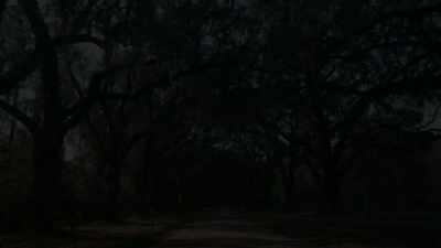 [music] - You Are Here