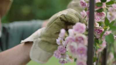 (music) - Destination Love