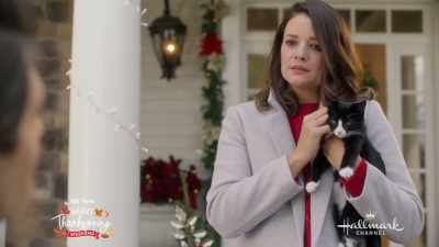 [Music] - The Nine Kittens of Christmas