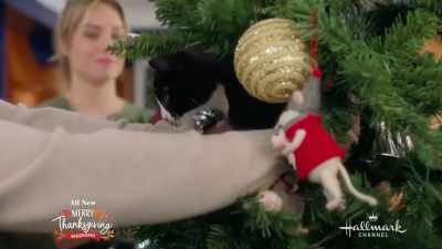 [Music] - The Nine Kittens of Christmas