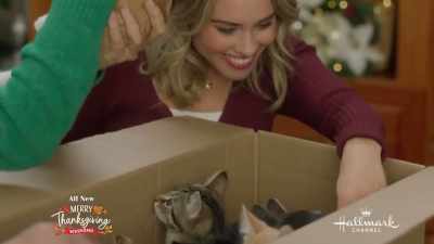 [Music] - The Nine Kittens of Christmas