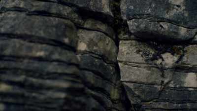 (music) - One Strange Rock