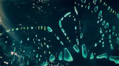 (music) - One Strange Rock