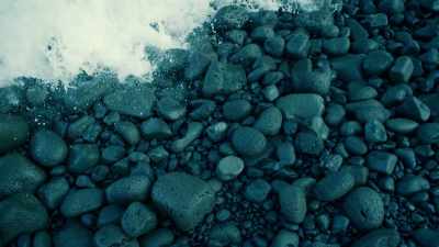 (music) - One Strange Rock