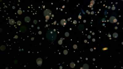 (music) - One Strange Rock